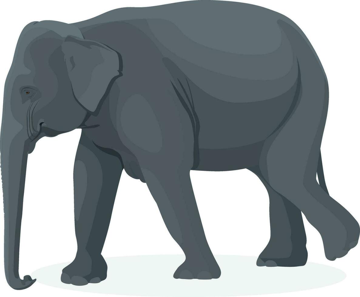 Elefant Gehen Illustration, groß Tiere, vektor