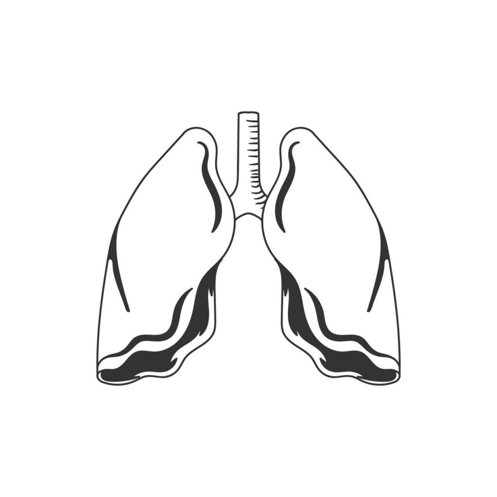 isolerat mänsklig lunga för inre organ medicinsk hälsa ikon illustration vektor