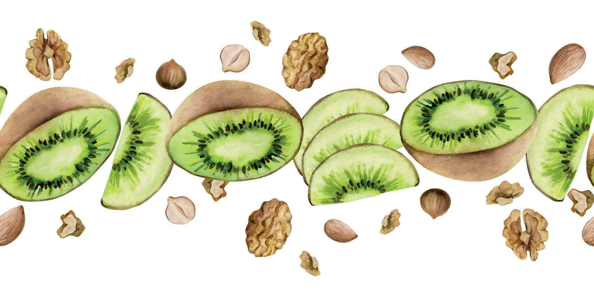 hand dragen vattenfärg skivad kiwi frukt och nötter blanda för diet, friska livsstil, vegan matlagning. illustration sömlös gräns isolerat på vit bakgrund. design affisch, skriva ut, hemsida, kort, meny vektor