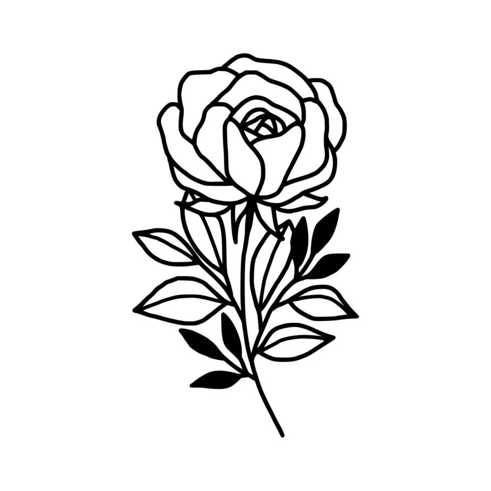 Jahrgang Hand gezeichnet Rose Blumen- und Blatt Ast Vektor Linie Kunst Illustration