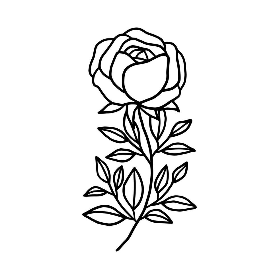 Jahrgang Hand gezeichnet Rose Blumen- und Blatt Ast Vektor Linie Kunst Illustration