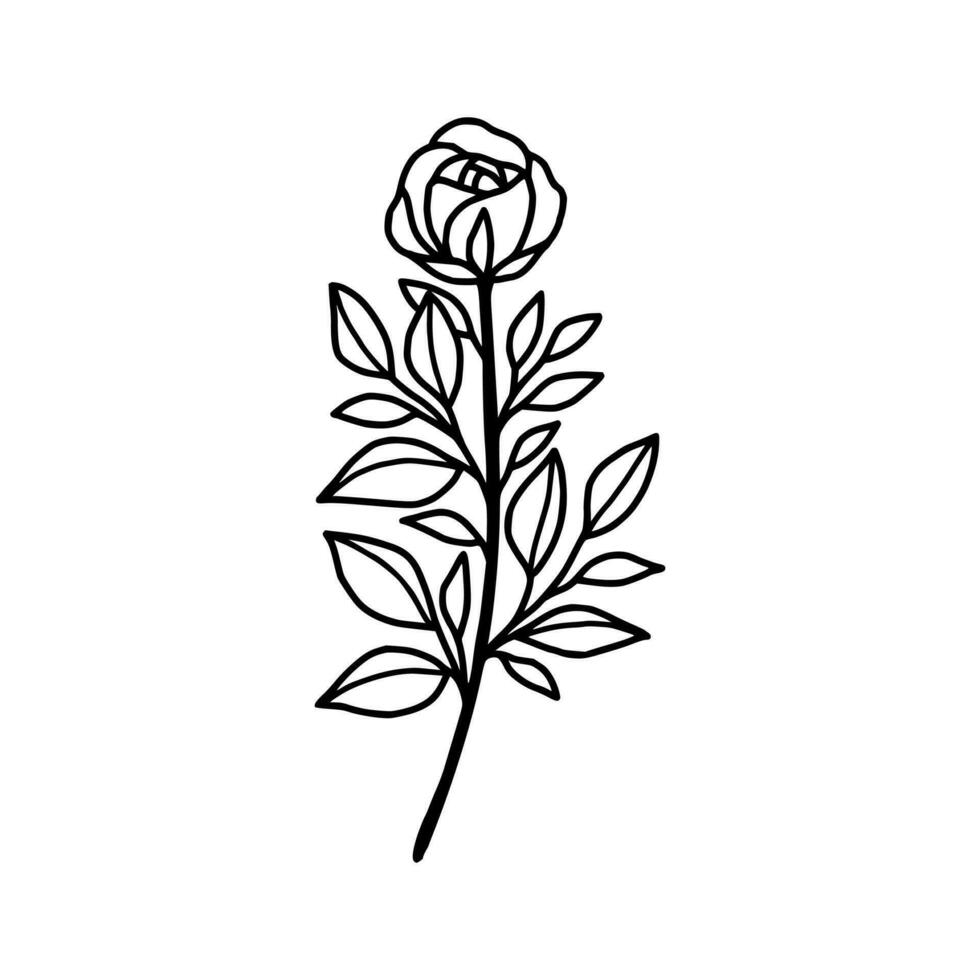 årgång hand dragen reste sig blommig och blad gren vektor linje konst illustration