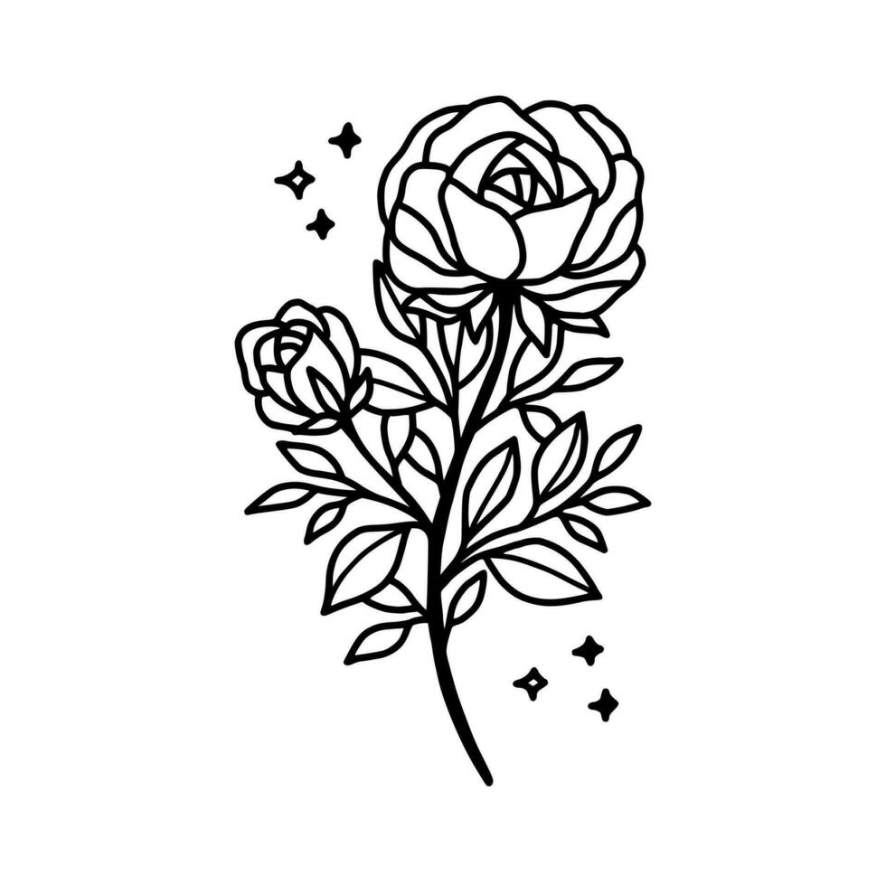 Hand gezeichnet Rose Blume und Blatt Ast Linie Kunst Vektor Illustration Design