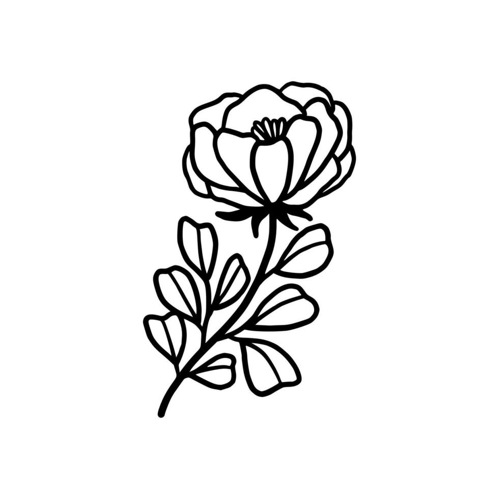 årgång hand dragen pion och reste sig blomma linje konst vektor illustration element