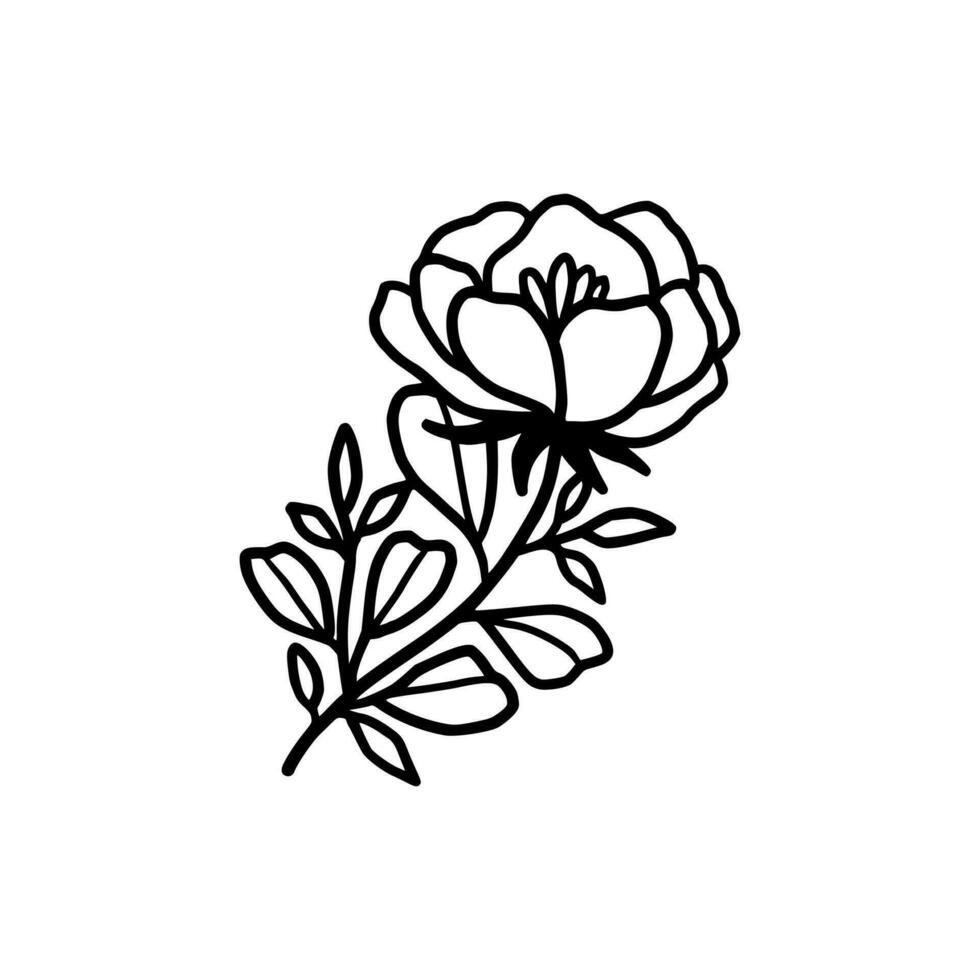 årgång hand dragen pion och reste sig blomma linje konst vektor illustration element