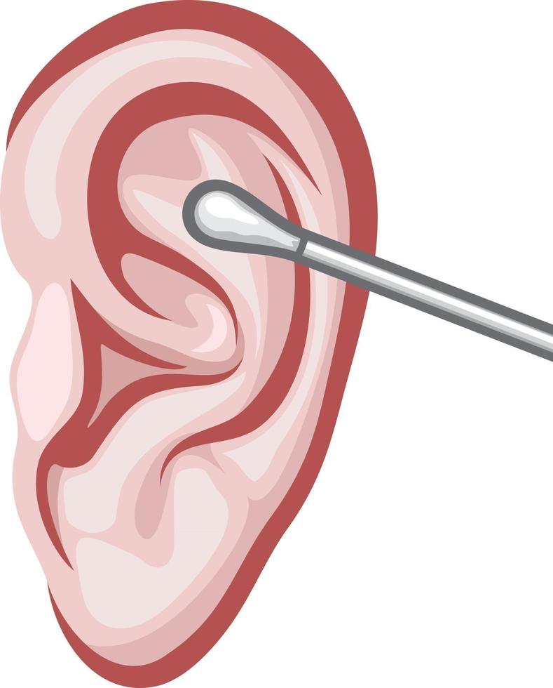 Ohr und weißes Wattestäbchen vektor