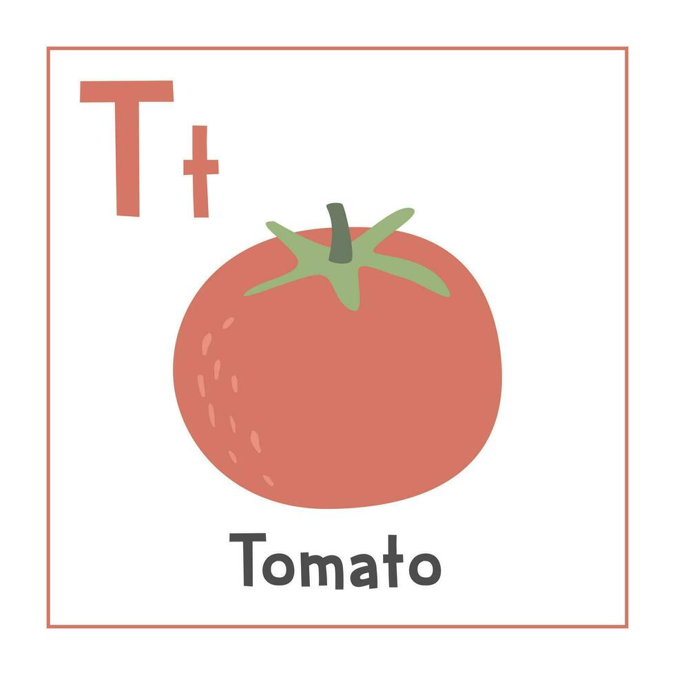tomat ClipArt. tomat vektor illustration tecknad serie platt stil. grönsaker Start med brev t. vegetabiliska alfabet kort. inlärning brev t kort. barn utbildning. söt tomat vektor design