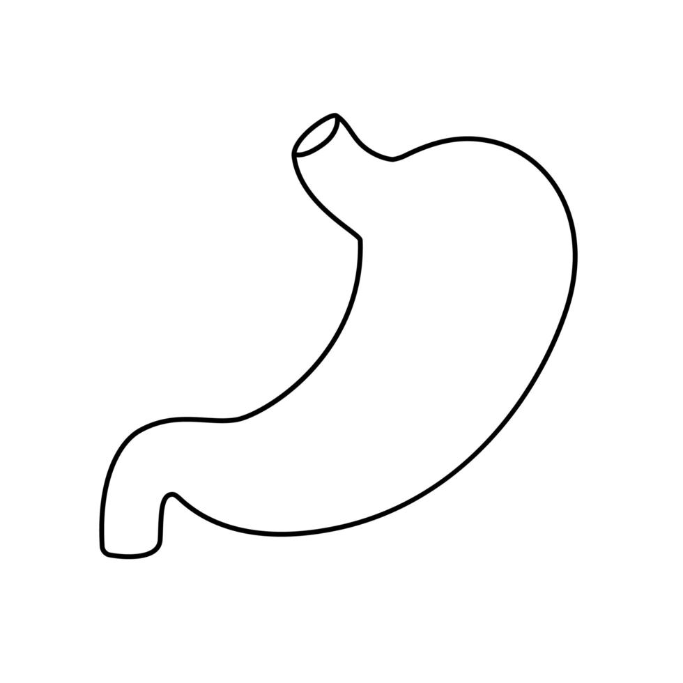 menschlicher Magen flache Kontur Vektorgrafik. Symbol für inneres Organ, Logo. Anatomie, Medizinkonzept. Gesundheitspflege. isoliert auf weißem Hintergrund. vektor