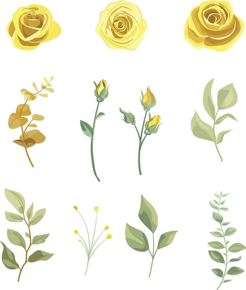 einstellen von Gelb Rosen und Blätter auf ein isoliert Hintergrund. vektor