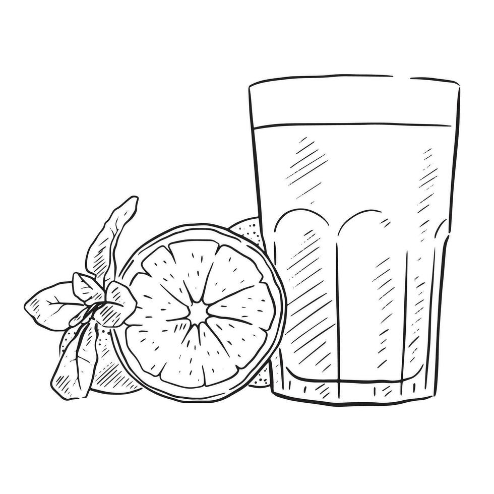 en linje dragen glas av orange juice i svart och vit med en linje dragen skära orange och mynta löv till de vänster hand sida. vektor