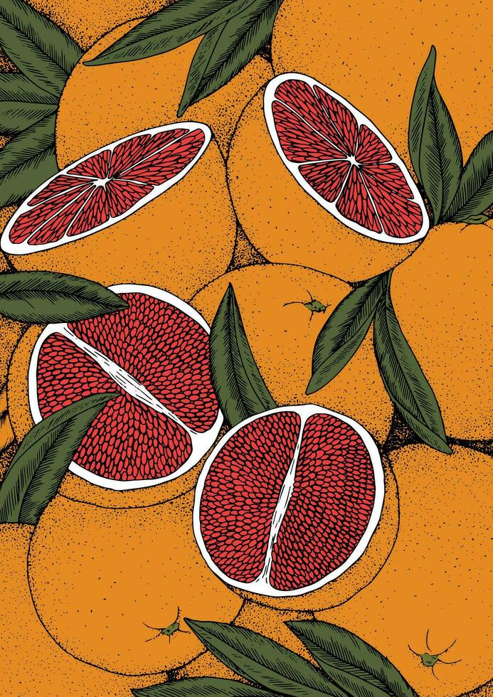 halv grapefrukt med löv illustration vektor