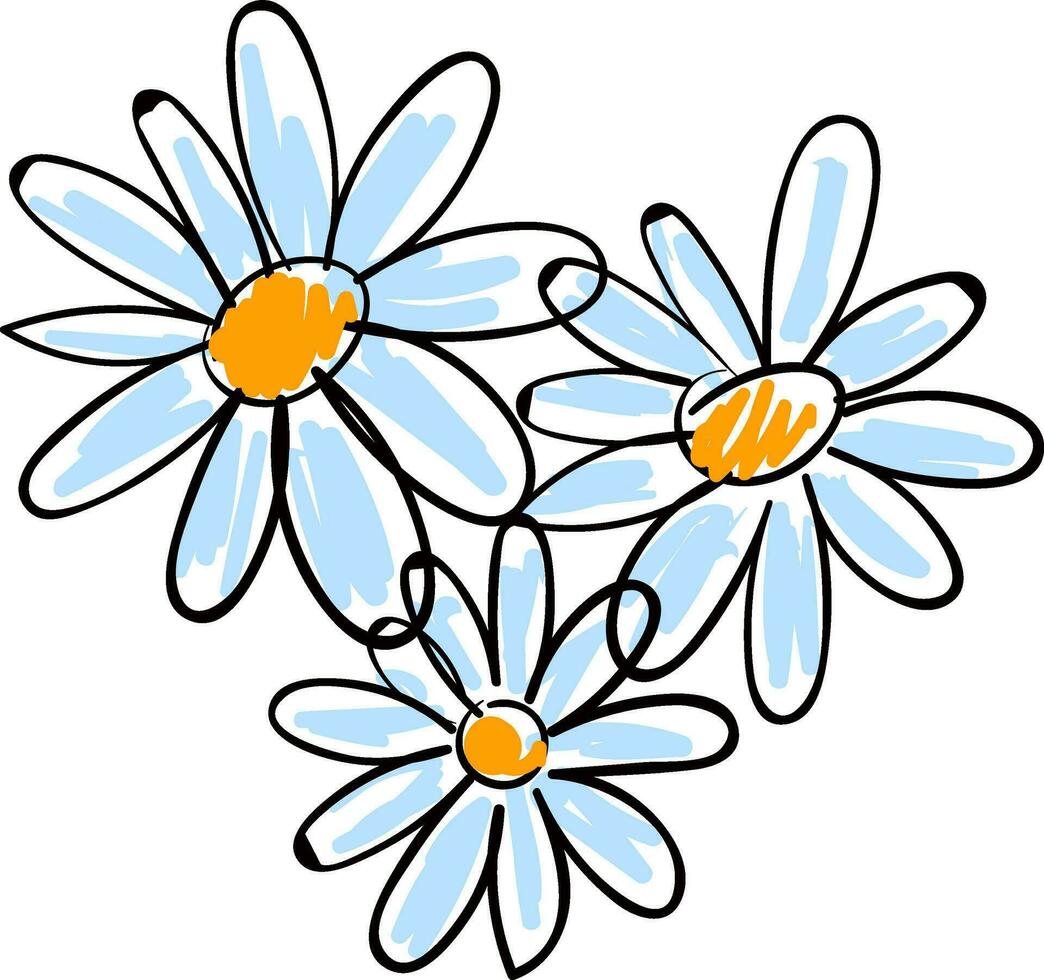 Weiß Kamille Blumen Vektor Illustration auf Weiß Hintergrund.