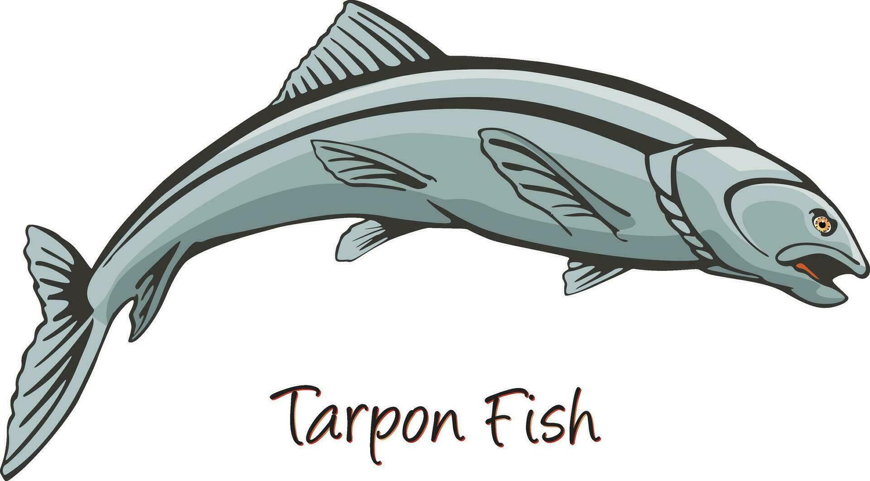 Tarpon, Farbe Illustration vektor