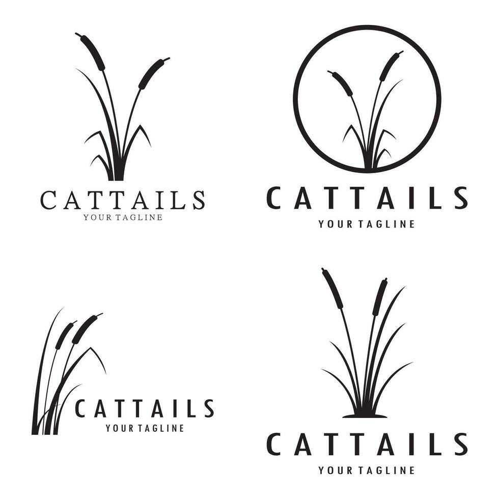 cattails eller flod vass gräs växt logotyp design, vatten- växter, träsk, vild gräs vektor