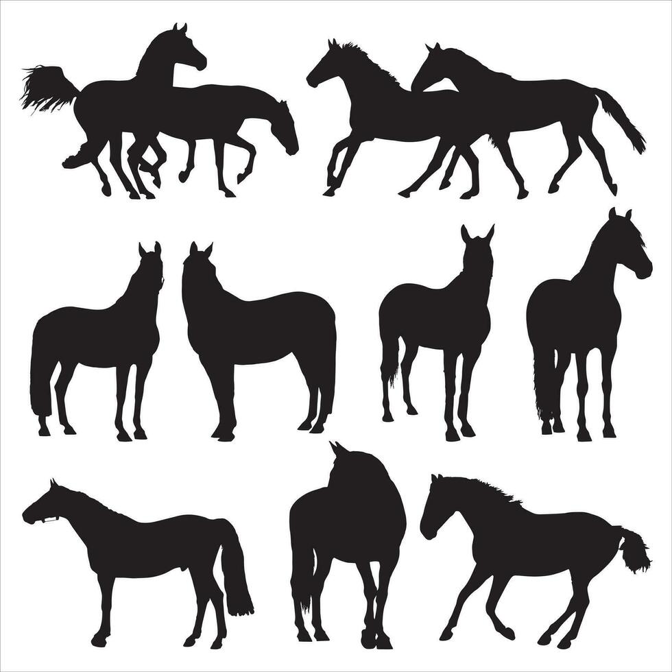 hästar silhuett uppsättning vektor illustration, samling av häst silhuett