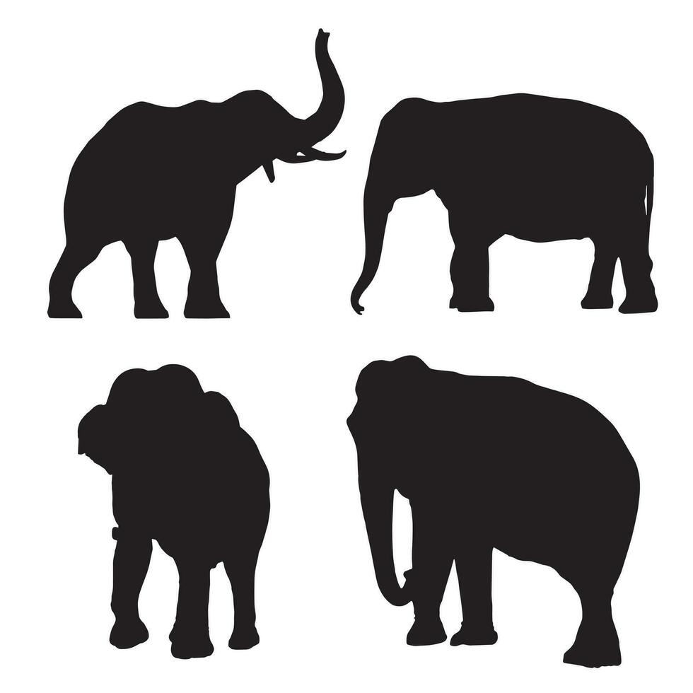 uppsättning av redigerbar vektor silhuetter av afrikansk elefanter i olika poser