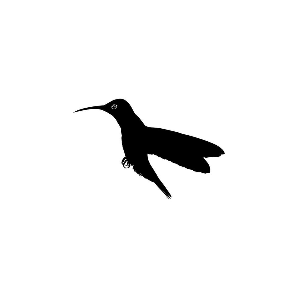 fliegend Kolibri Silhouette, können verwenden Kunst Illustration, Webseite, Logo Gramm, Piktogramm oder Grafik Design Element. Vektor Illustration