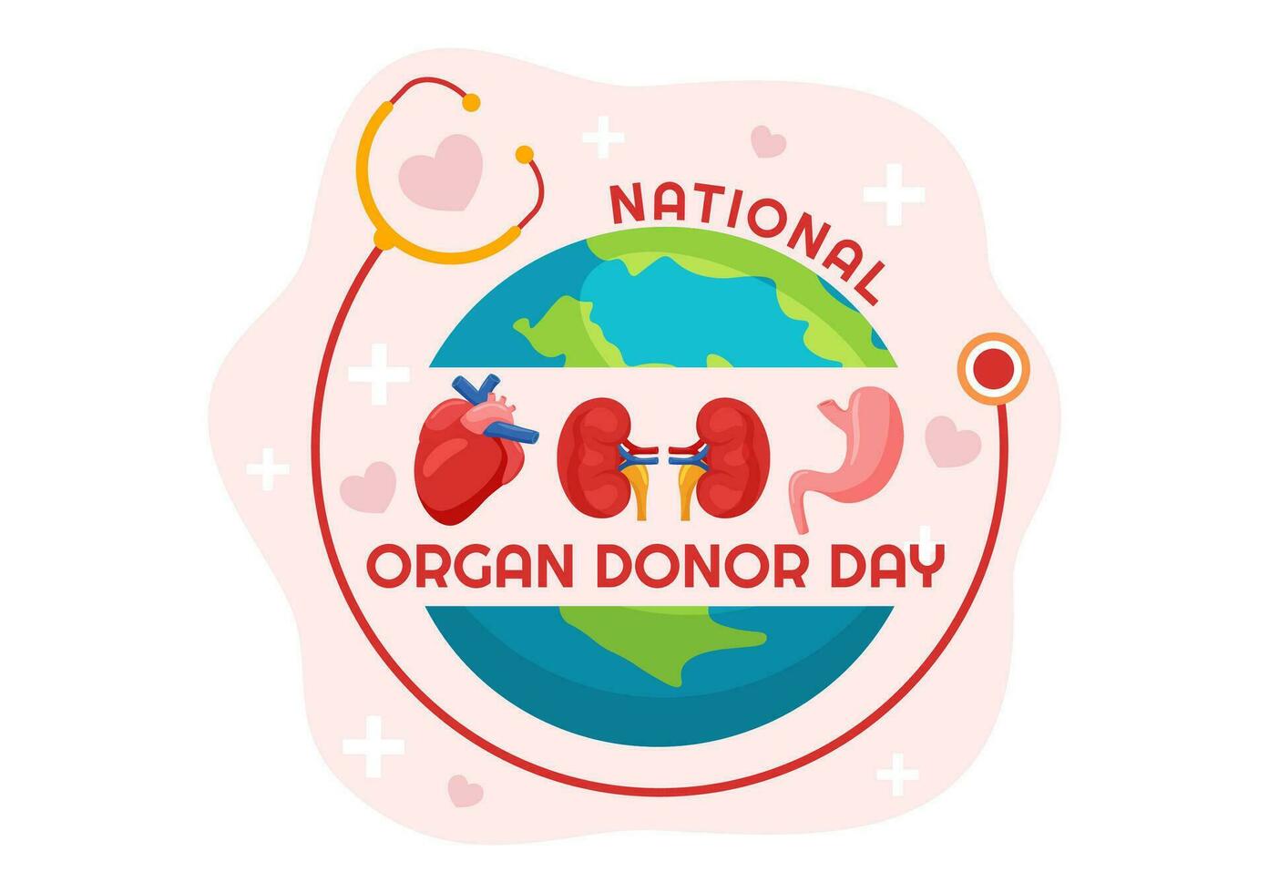 National Organ Spender Tag Vektor Illustration auf 14 Februar mit Nieren, Herz, Lunge oder Leber zum Transplantation und Gesundheitswesen im eben Hintergrund