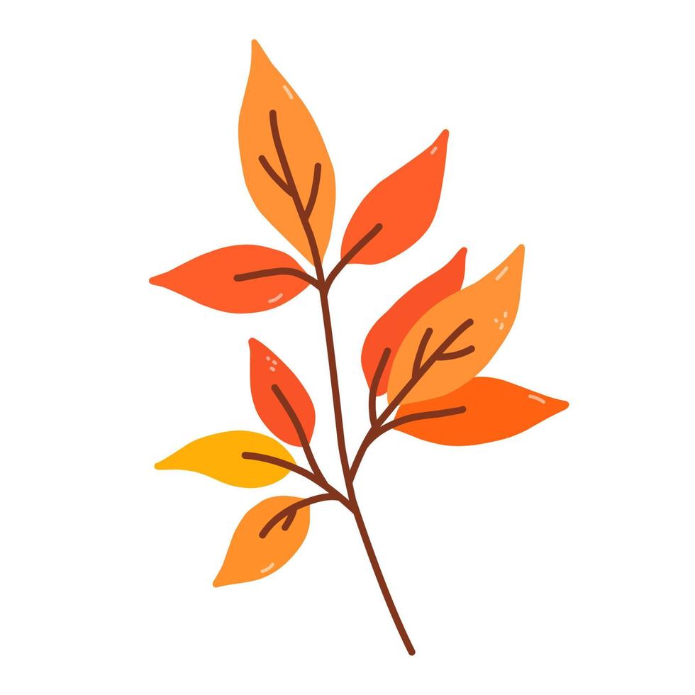 kvist med orange och gula löv isolerad på vit bakgrund vektor