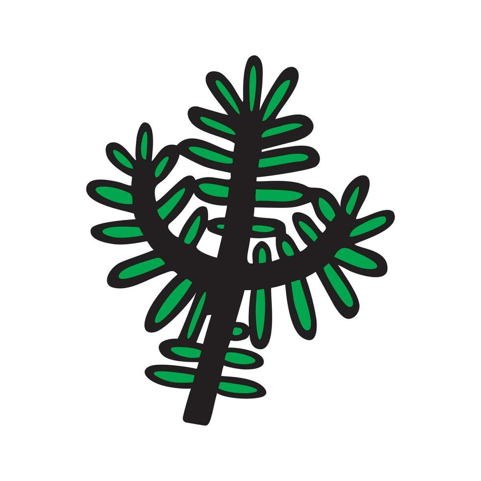 hand dragen vinter- illustration av tall kvist. gren av gran, gran. barrträd blommig design. söt enkel nålar botanisk skriva ut. platt vektor i färgad klotter stil. isolerat.