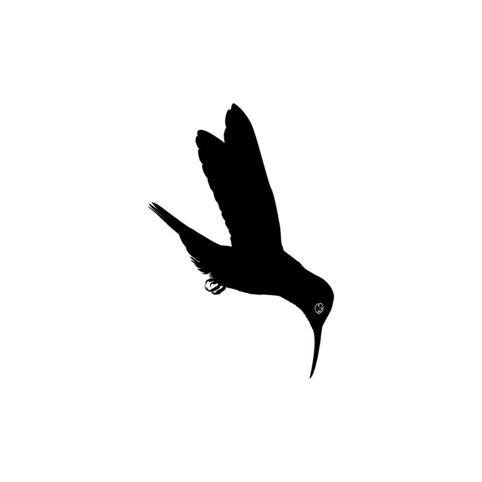 fliegend Kolibri Silhouette, können verwenden Kunst Illustration, Webseite, Logo Gramm, Piktogramm oder Grafik Design Element. Vektor Illustration