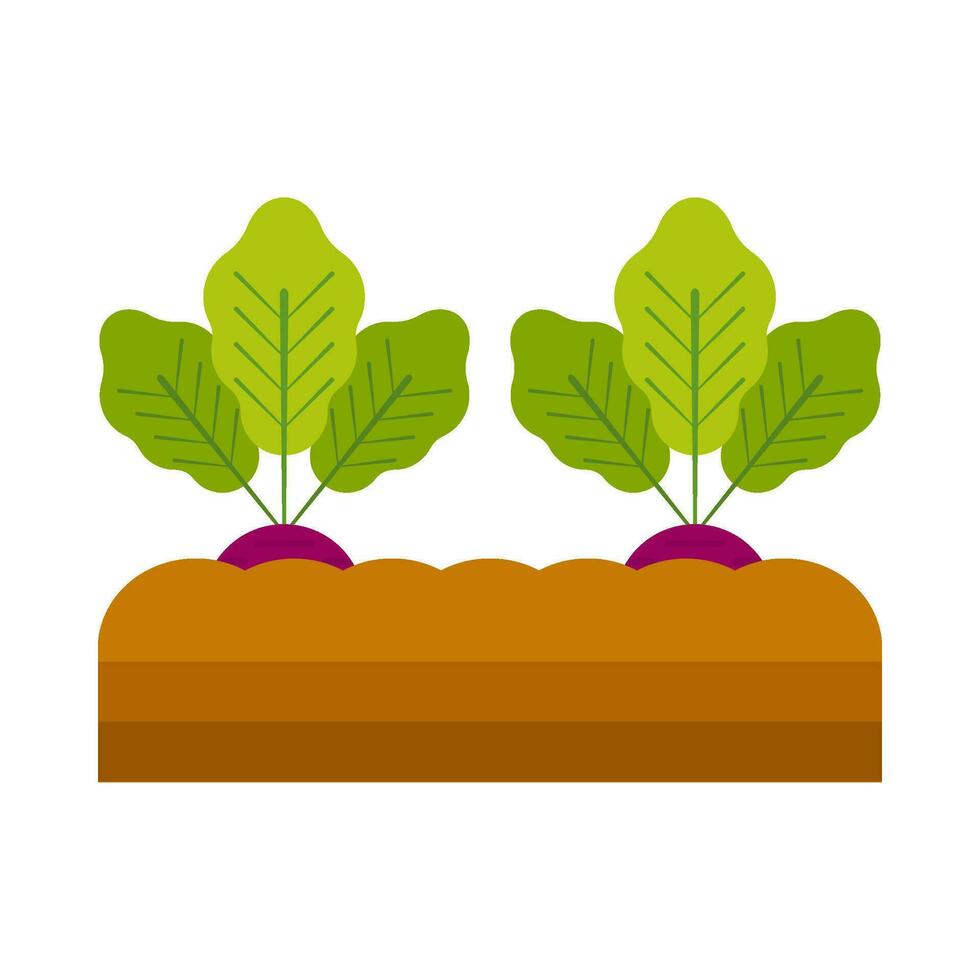 Rettich Gemüse Pflanze eben Illustration vektor