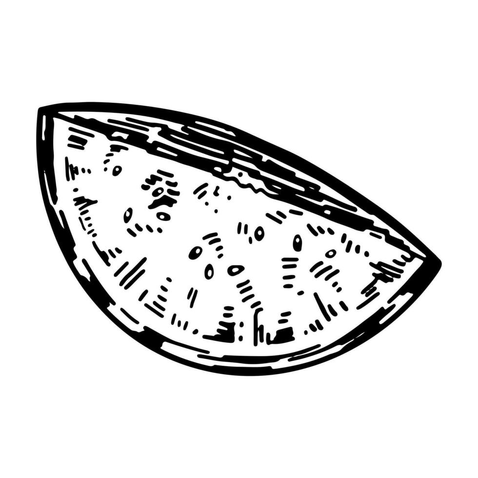 skivad vattenmelon skiss ClipArt. ljuv färsk tropisk frukt klotter isolerat på vit. hand dragen vektor illustration i gravyr stil.
