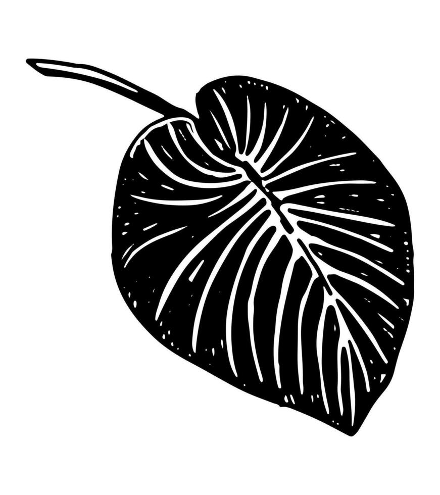 tropisch Blatt Clip Art. exotisch Flora Gekritzel skizzieren. Hand gezeichnet Vektor Botanik Illustration. Gravur Stil Gekritzel isoliert auf Weiß.