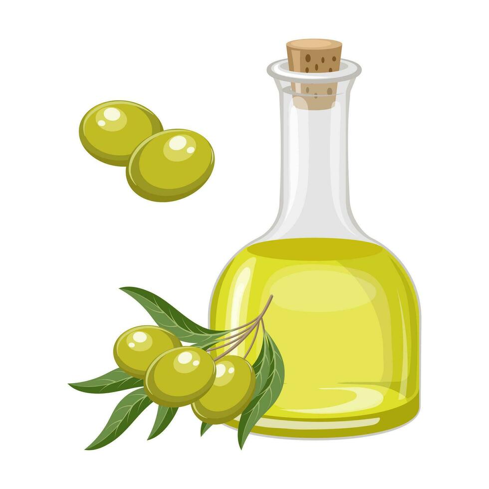 oliv olja och kvistar med oliver och löv. mat illustration, vektor