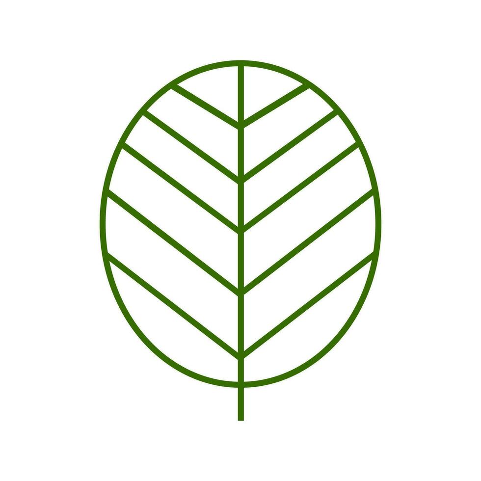 Öko Blatt Symbol. Grün Blatt von ein Baum Symbol. Zeichen organisch Vektor. vektor