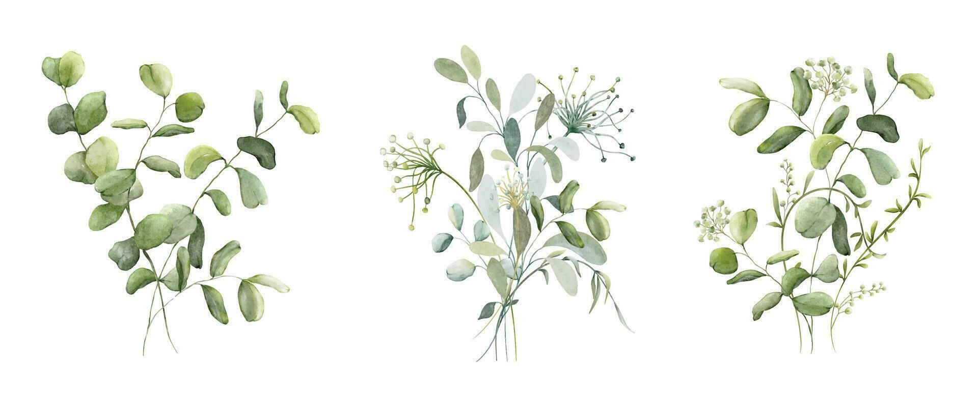 einstellen von Aquarell Blumensträuße von Blätter Elemente vektor