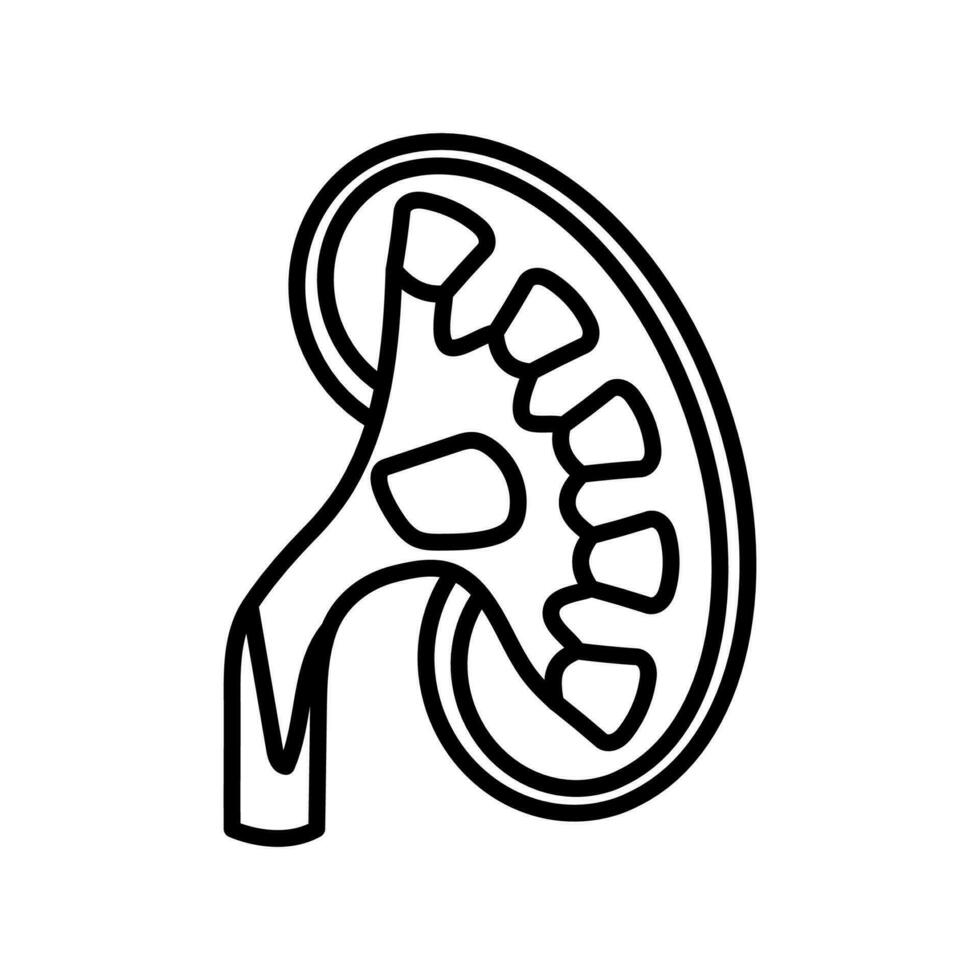 Nieren- Becken Symbol im Vektor. Logo vektor