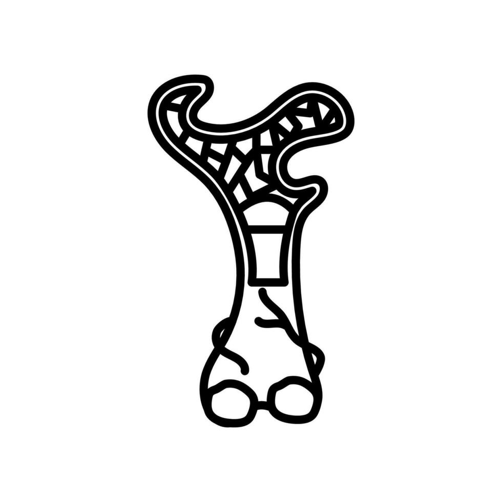 Knochen Mark Symbol im Vektor. Logo vektor