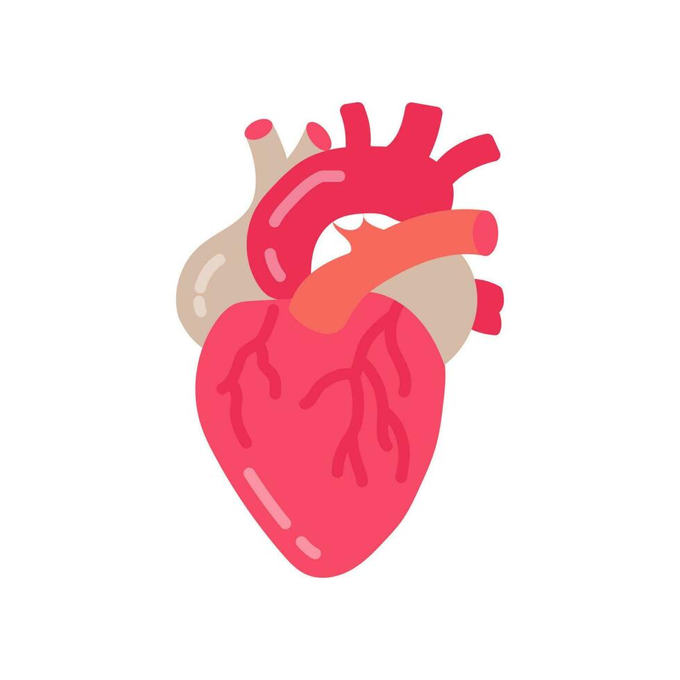 Herz Symbol im Vektor. Logo vektor