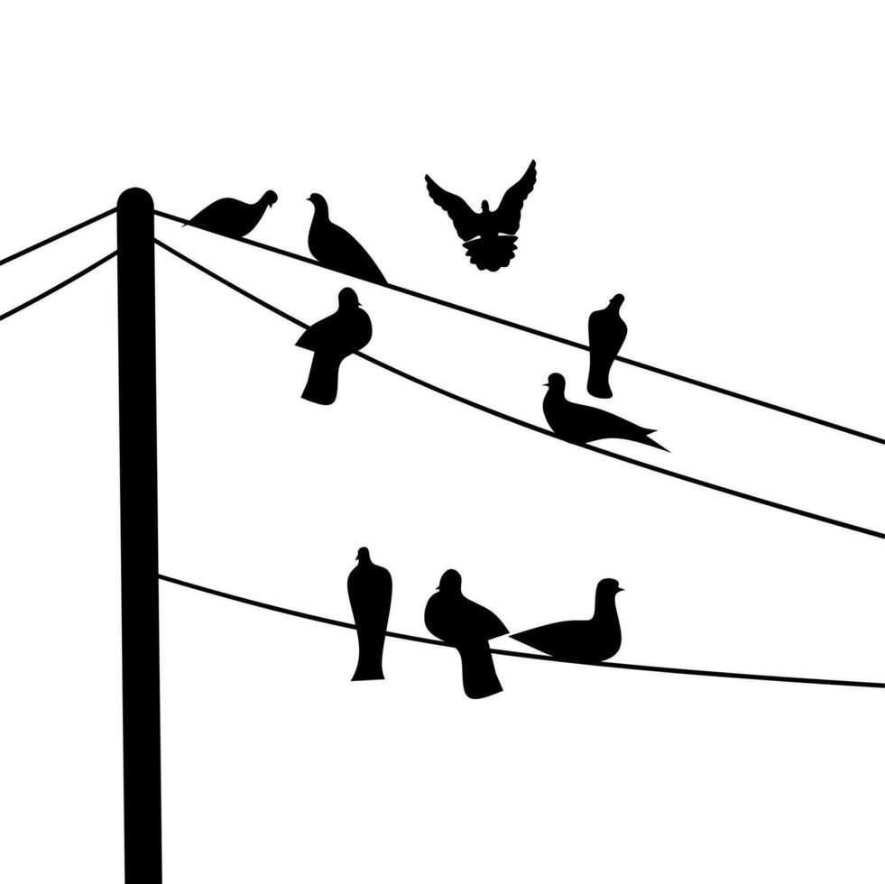 svart silhuett av en grupp av duvor uppflugen på en kraft Pol kabel- på en vit bakgrund. en grupp av svart fågel skuggor. vektor
