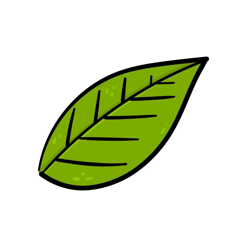 handritning grönt blad vektor. vektor