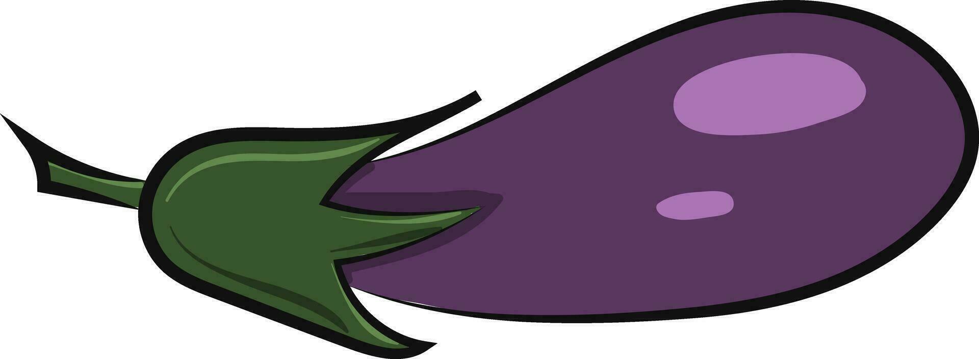 Bild von Aubergine, Vektor oder Farbe Illustration.