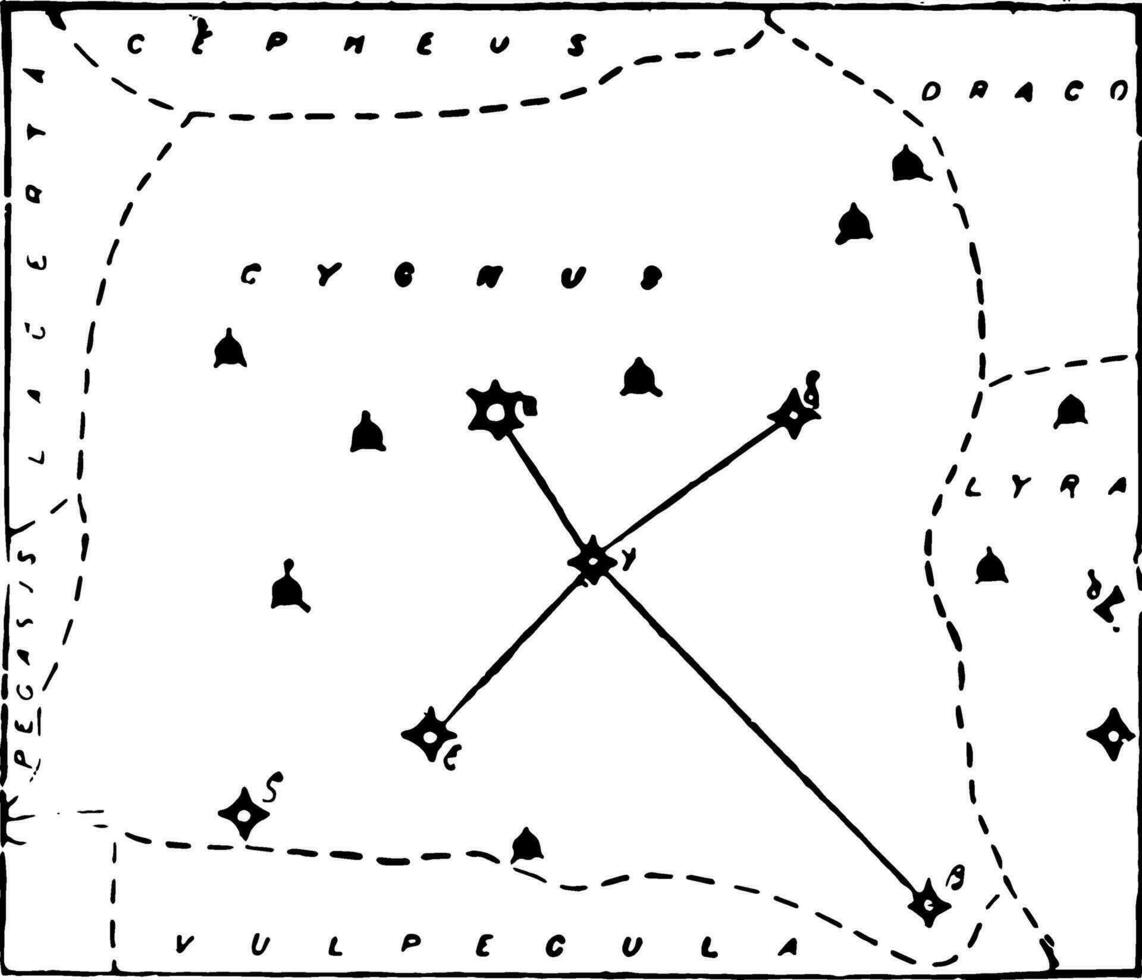 cygnus årgång illustration vektor