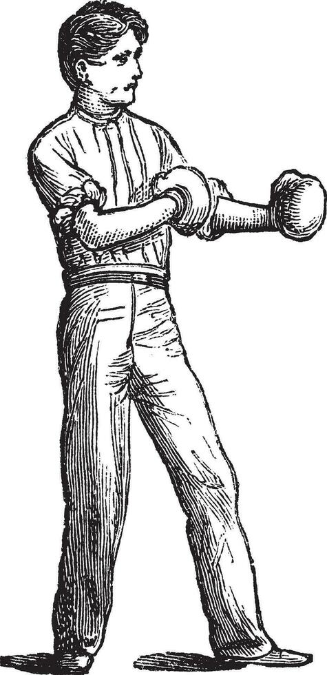 Position von das Boxer Jahrgang Gravur vektor