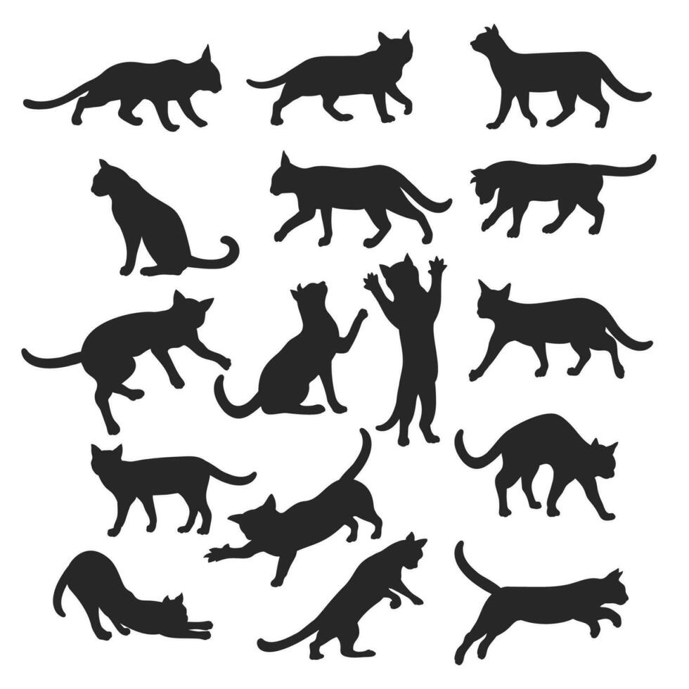 katt silhuett, miuw katt vektor illustration