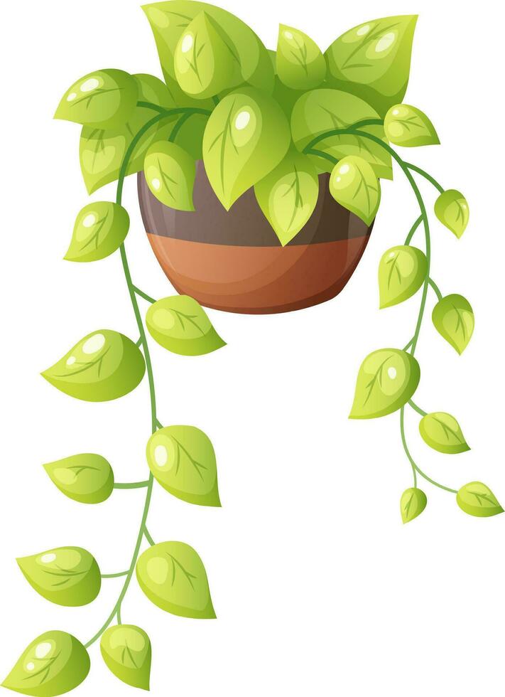 inomhus- grön växt, lian, gyllene pothos i blomma pott på transparent bakgrund. vektor illustration i tecknad serie stil