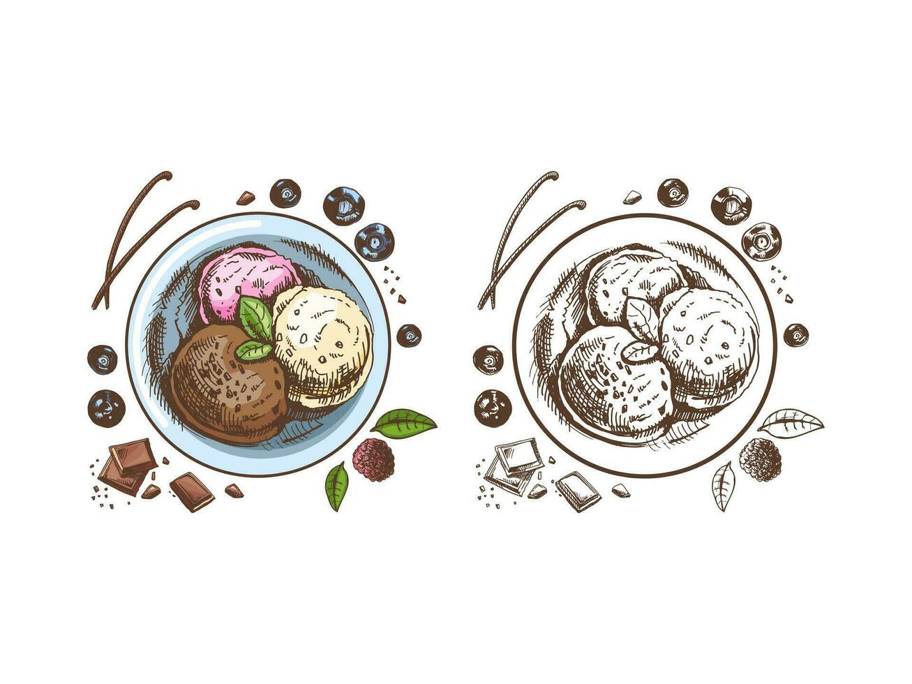 ein handgemalt farbig und einfarbig skizzieren von ein Eis Sahne Bälle im ein Teller mit Schokolade, Beeren, Vanille Hülsen. oben Sicht. Jahrgang Illustration. Element zum das Design von Etiketten, Verpackung. vektor