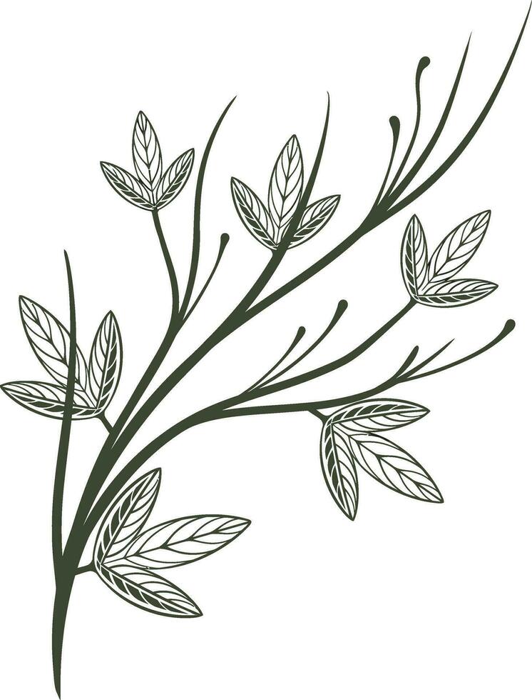 Pflanze Element Gliederung Vektor Illustration