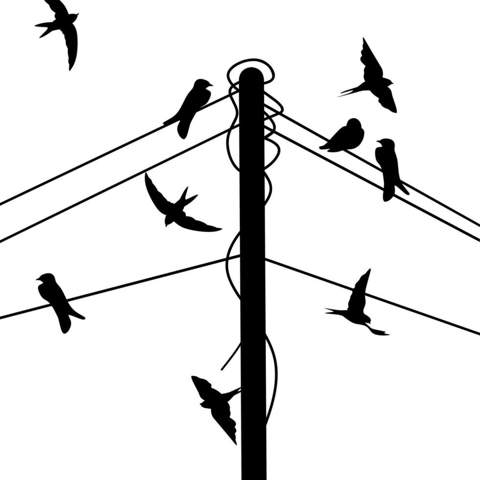 silhuett av en grupp av sväljer uppflugen på en kraft Pol kabel. fågel skugga illustration på vit bakgrund. vektor