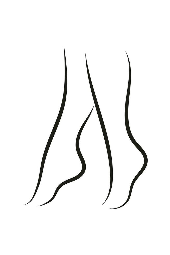 elegant Silhouette von Damen Beine im minimalistisch Stil. zum Geschäft Karten, Werbung, Drucken. Vektor. isoliert auf Weiß Hintergrund. vektor