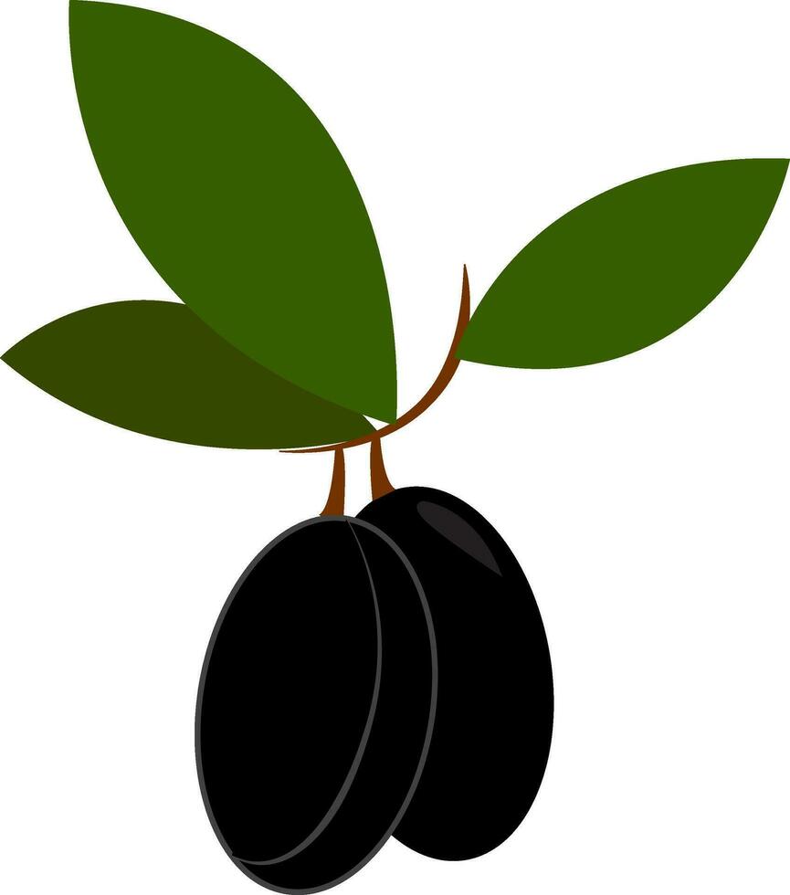schwarz gefärbt Karikatur Olive Vektor oder Farbe Illustration