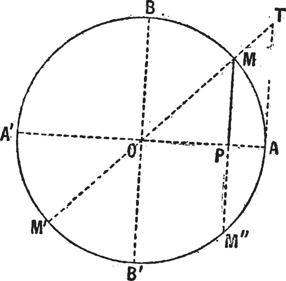 Sinus Funktion Diagramm Mathematik Jahrgang Gravur vektor