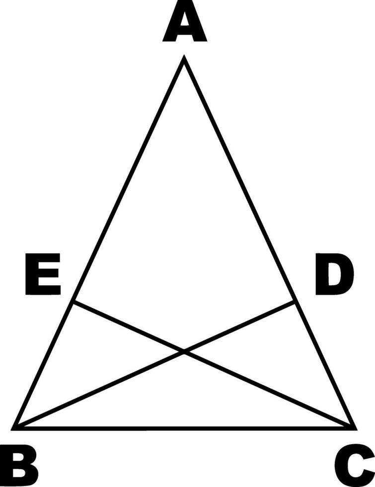 Höhen gezeichnet von Base Winkel von gleichschenklig Dreiecke Jahrgang Illustration. vektor