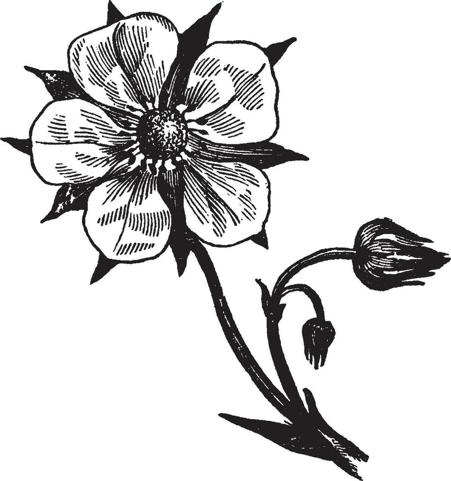 perfekt Blume Jahrgang Illustration. vektor