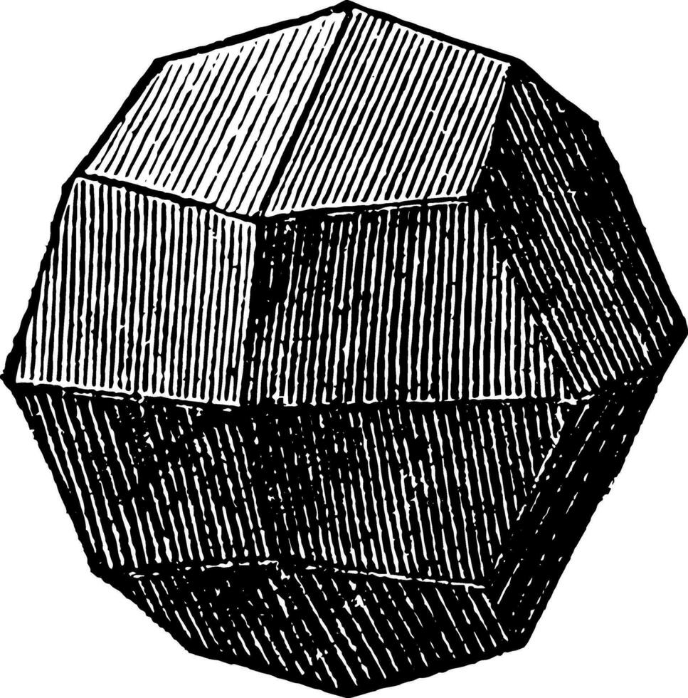 diploid årgång illustration. vektor